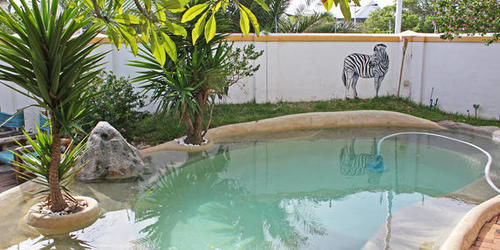 Green Elephant Backpackers Ciudad del Cabo Exterior foto